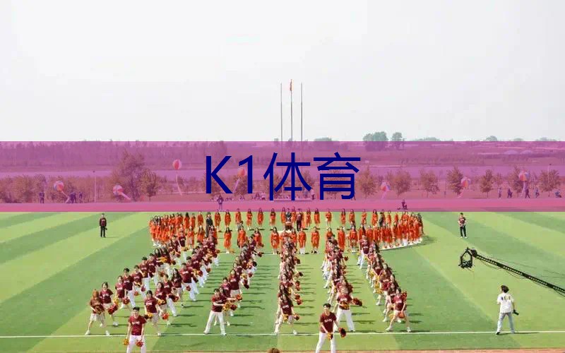 塑胶跑道彩色颗粒材质的实用性和美观性平衡