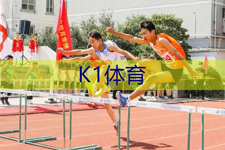 乒乓球台什么颜色最好